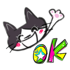 [LINEスタンプ] かわいいねこ挨拶スタンプ