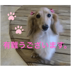 [LINEスタンプ] Tiffany chan挨拶