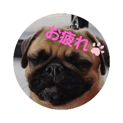 ぶさかわ梅子