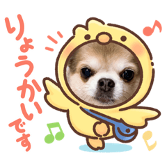 [LINEスタンプ] taffyちゃん