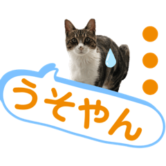 [LINEスタンプ] ごえもん日和 7