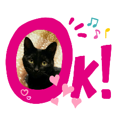 [LINEスタンプ] 黒猫の日常ことばの画像（メイン）