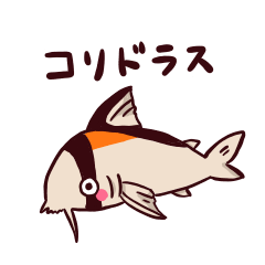 [LINEスタンプ] コリドラスのコリちゃん