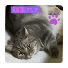 [LINEスタンプ] zeroの毎日2