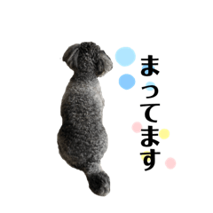 [LINEスタンプ] コロン©愛 2
