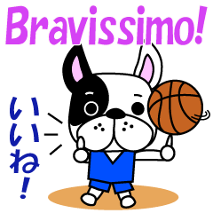 [LINEスタンプ] バスケ犬 イタリア語と日本語