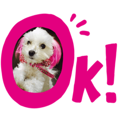[LINEスタンプ] くぅちゃんスタンプーー
