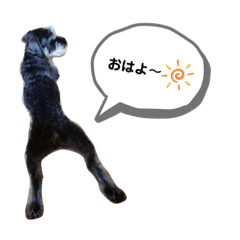 [LINEスタンプ] Mシュナのみこし♂④
