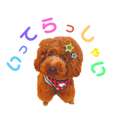 [LINEスタンプ] ムサマロ