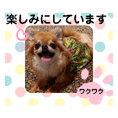 [LINEスタンプ] 武居familiar8