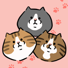 [LINEスタンプ] 野良猫3兄弟