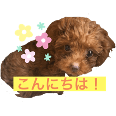 [LINEスタンプ] ちろりんのわくわくスタンプ