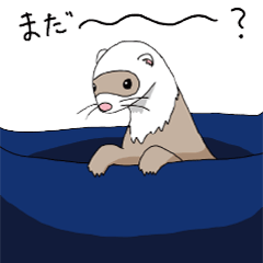 [LINEスタンプ] フェレットののいちゃん2