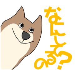 [LINEスタンプ] 今日こそワンコに愛されたい