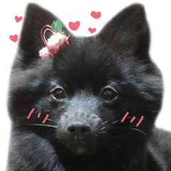 [LINEスタンプ] 大好きなくぅーちゃん
