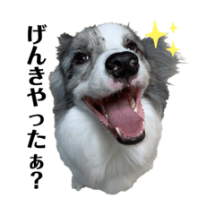 [LINEスタンプ] ベスティやで