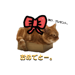 [LINEスタンプ] こむにゃん ご。