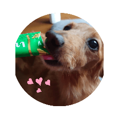 [LINEスタンプ] 癒しのダックス