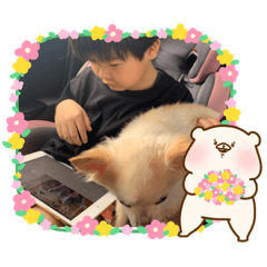 [LINEスタンプ] 近藤ひめ