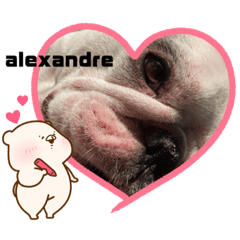 [LINEスタンプ] alexandre stamp