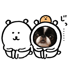 [LINEスタンプ] 狆のマウスウⅣ