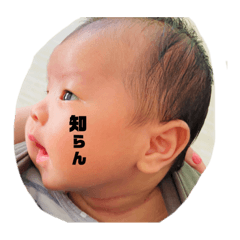 [LINEスタンプ] ふたごとさんじょ