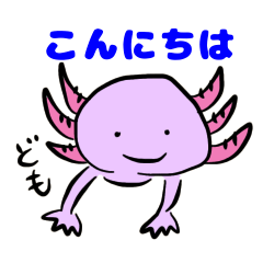 [LINEスタンプ] 癒しのウーパールーパー