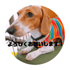 [LINEスタンプ] マロレモ4