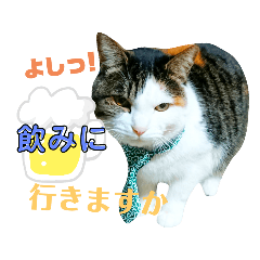 [LINEスタンプ] ★猫のユメと申すにゃん★
