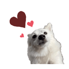 [LINEスタンプ] mochi to mochi 2