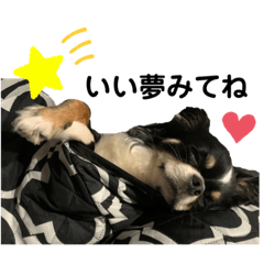 [LINEスタンプ] らいむの日常5
