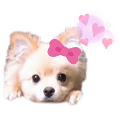 [LINEスタンプ] まるたすたんぷ