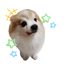 [LINEスタンプ] 毛むくじゃら達5