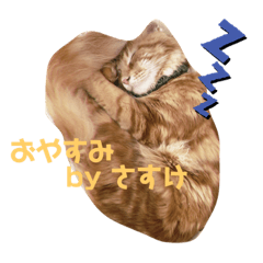 あにまるず3種