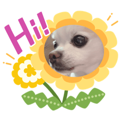 [LINEスタンプ] 近藤ひめ04