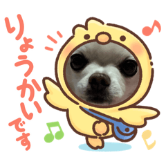 [LINEスタンプ] 近藤ひめ05