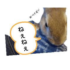 [LINEスタンプ] キュートもふもふスタンプ