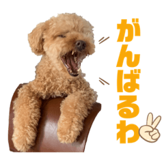[LINEスタンプ] モカりんぐすの日常2