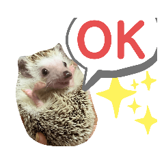 [LINEスタンプ] 使える！瀧井家ハリタヌスタンプ
