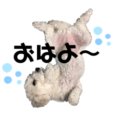 [LINEスタンプ] 寝ても覚めてもぽてとぷりん