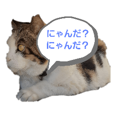 プー店長おもしろスタンプ第1弾
