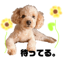 [LINEスタンプ] ころもの日常③