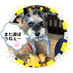 [LINEスタンプ] レオくんの日常パート1