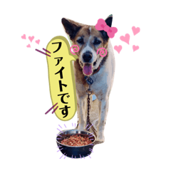 [LINEスタンプ] はなちゃんの前向きスタンプ