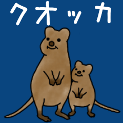 [LINEスタンプ] ベストクオッカ