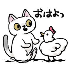 [LINEスタンプ] しろねこしっぽちゃん日常会話のスタンプ