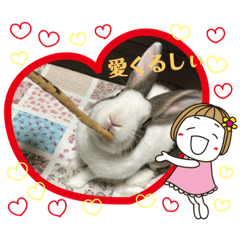 [LINEスタンプ] お茶目なkokkochan(5)