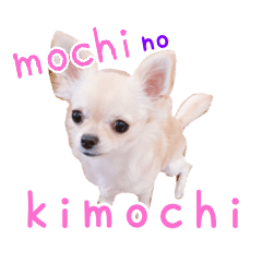 [LINEスタンプ] mochiの気持ちの画像（メイン）