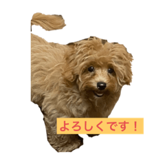 [LINEスタンプ] 麦ちゃ〜ん