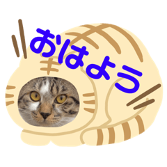 [LINEスタンプ] みいとぅん2段